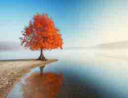 快​速​排‍序​法‌讲​解​